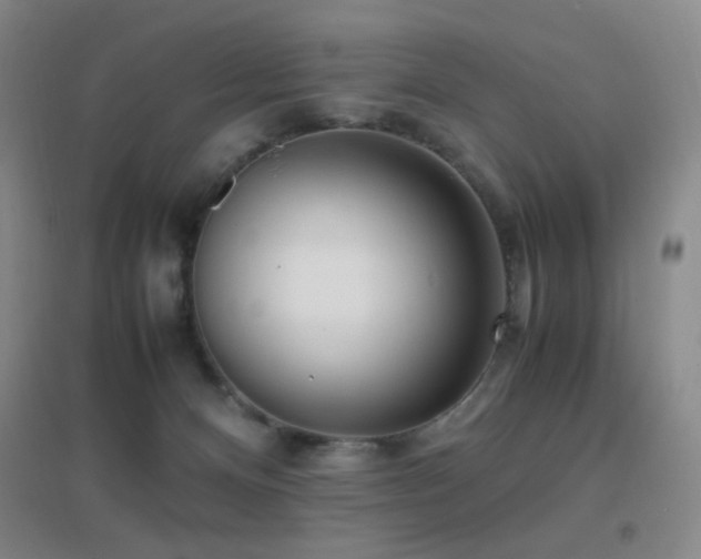X0000096730128200802051450