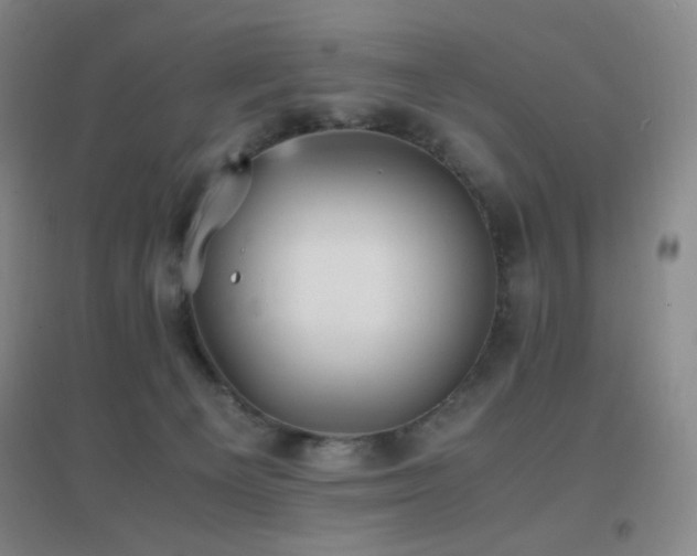X0000096730129200802051450