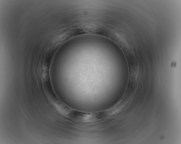 X0000096730130200802051450