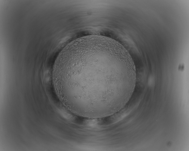 X0000096730131200802051450