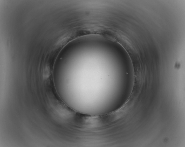 X0000096730132200802051450