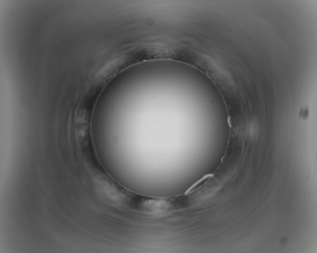 X0000096730133200802051450