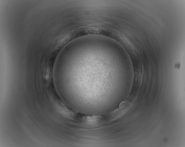 X0000096730134200802051450