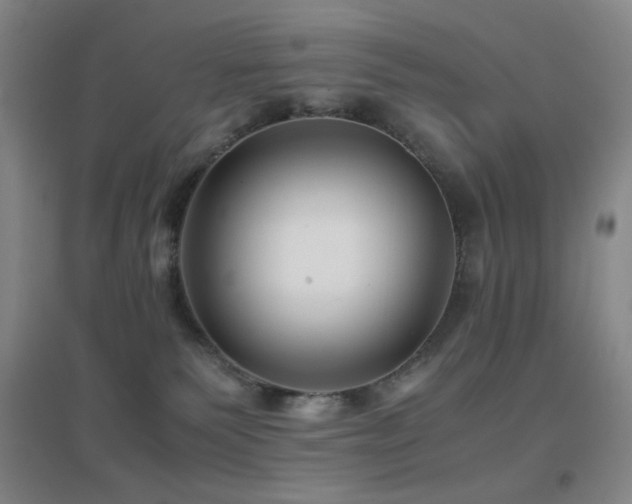 X0000096730135200802051450