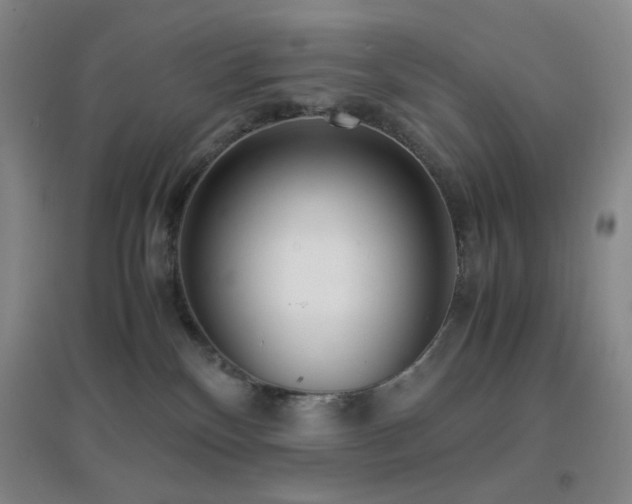 X0000096730136200802051450