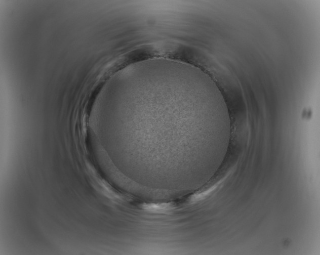 X0000096730137200802051450