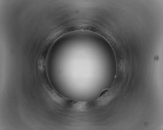 X0000096730138200802051450