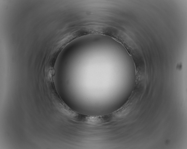 X0000096730141200802051449