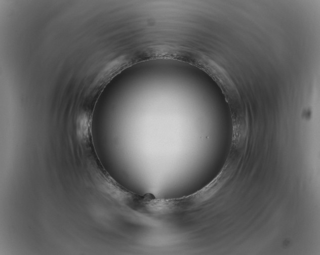 X0000096730142200802051449