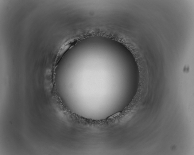 X0000096730144200802051449