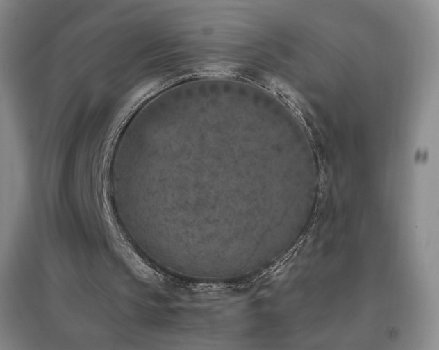 X0000096730145200802051449