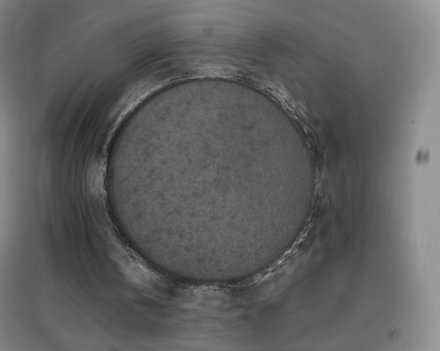 X0000096730146200802051449
