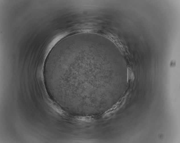 X0000096730147200802051449