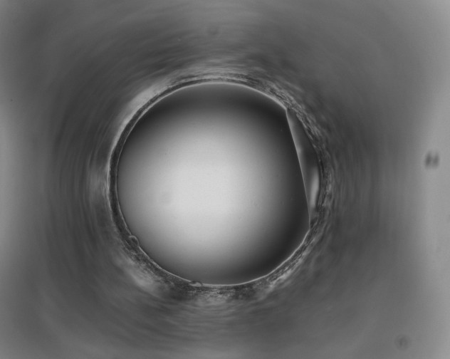 X0000096730148200802051449