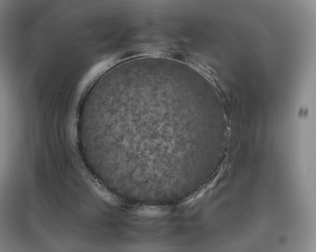 X0000096730149200802051449