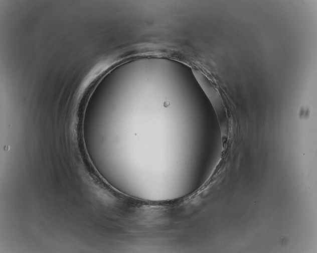 X0000096730150200802051449