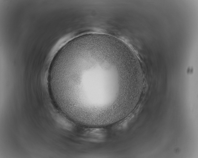 X0000096730151200802051449