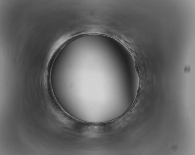 X0000096730152200802051449