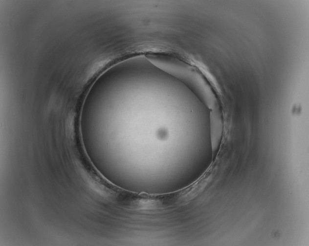 X0000096730154200802051449