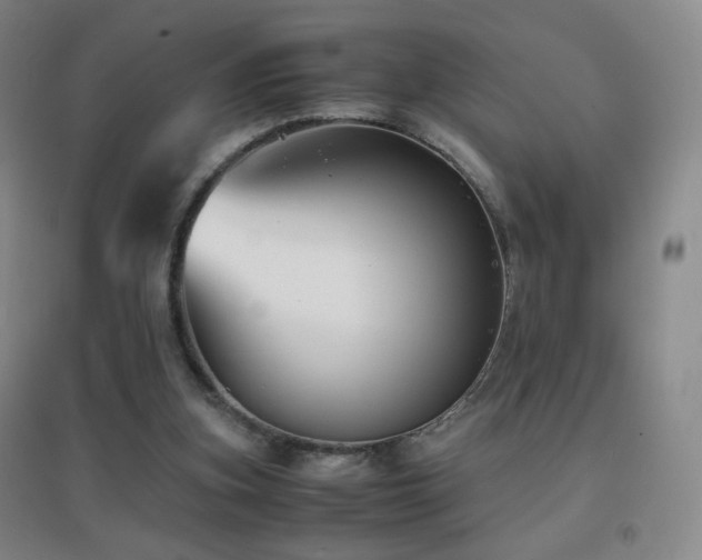 X0000096730155200802051449