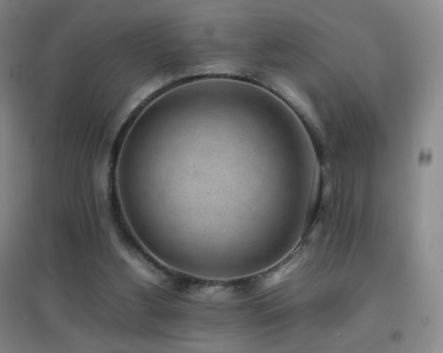 X0000096730156200802051449