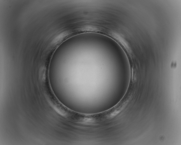 X0000096730157200802051449