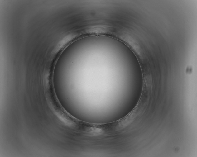 X0000096730159200802051449