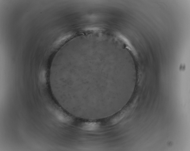 X0000096730161200802051449