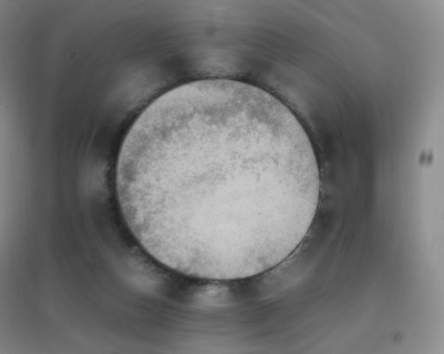 X0000096730162200802051449