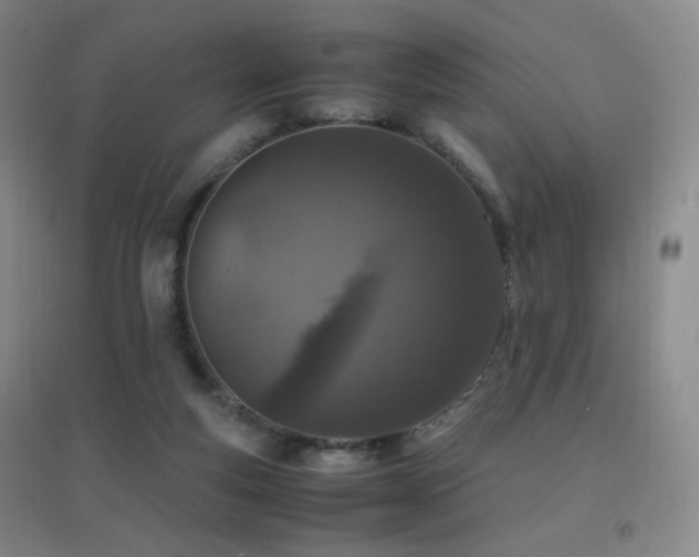 X0000096730163200802051449