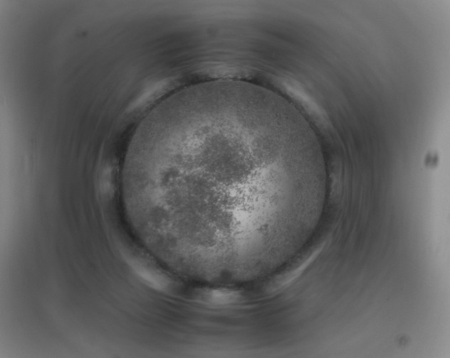 X0000096730165200802051449