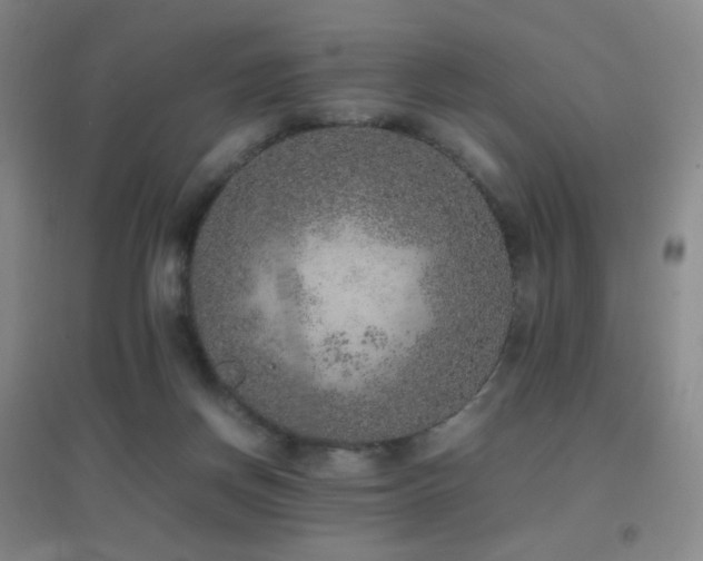 X0000096730166200802051449