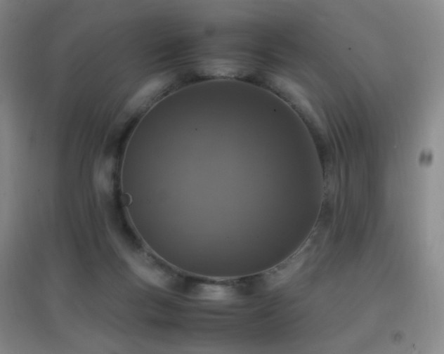 X0000096730167200802051449