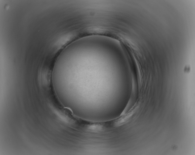 X0000096730168200802051449
