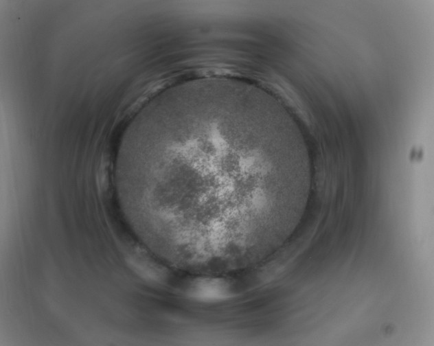X0000096730169200802051449