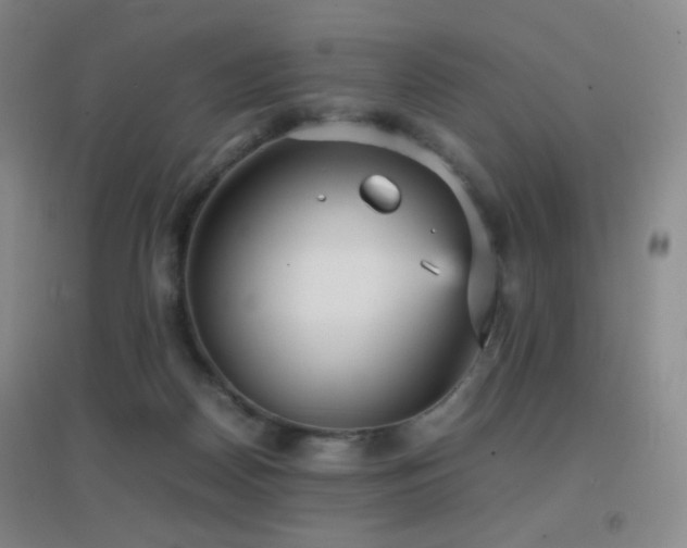 X0000096730170200802051449