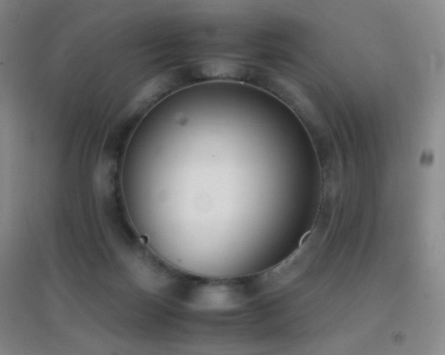 X0000096730171200802051449