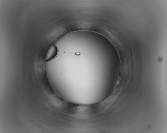 X0000096730172200802051449