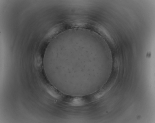 X0000096730173200802051449