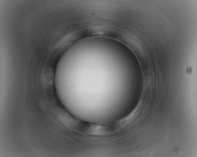 X0000096730174200802051449