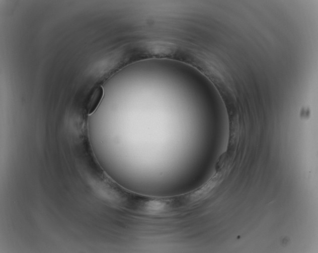 X0000096730176200802051449