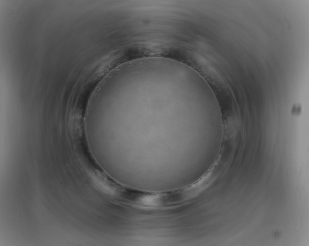 X0000096730178200802051449