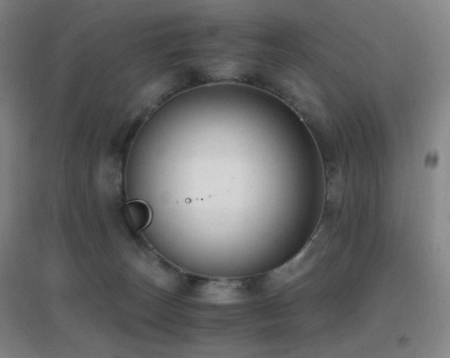 X0000096730179200802051449