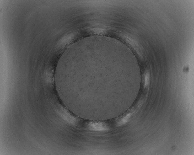 X0000096730181200802051449