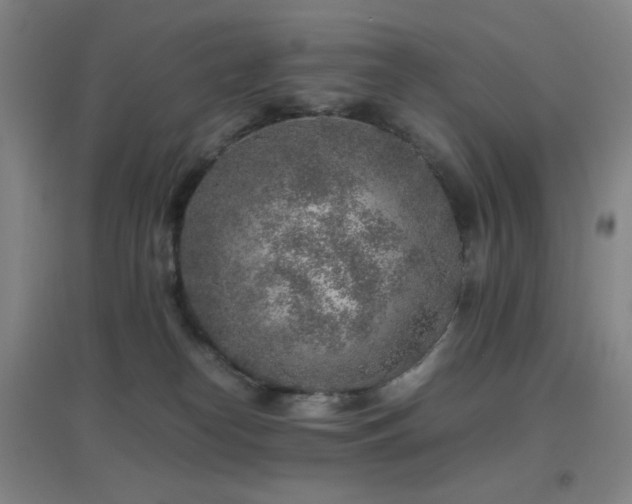 X0000096730182200802051449