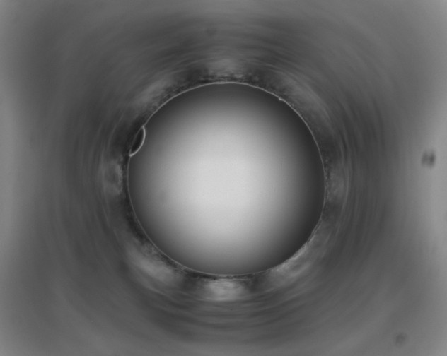 X0000096730183200802051449