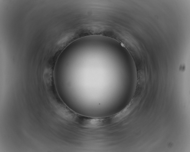 X0000096730184200802051449