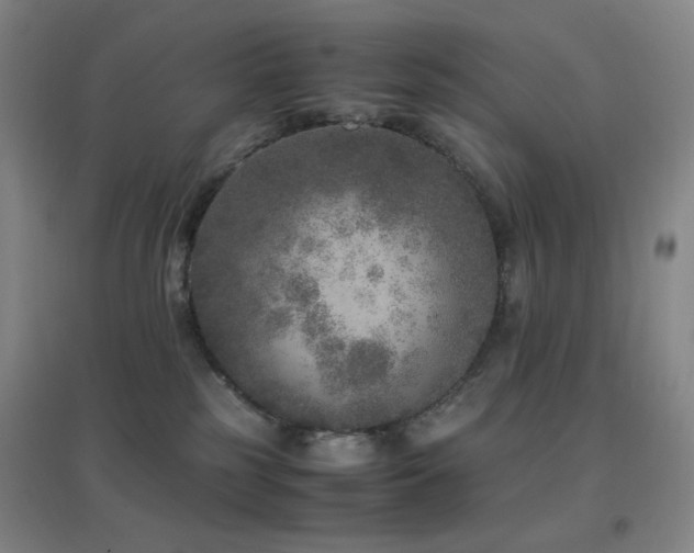 X0000096730185200802051449