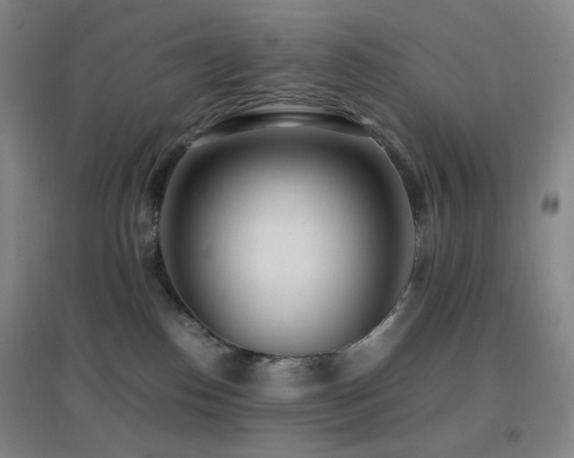 X0000096730186200802051449