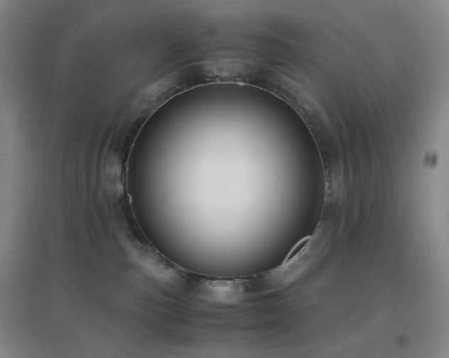 X0000096730187200802051449